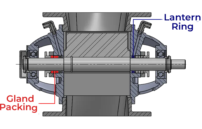 Right Image 1